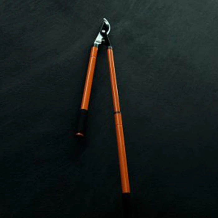 قیچی شاخه زن